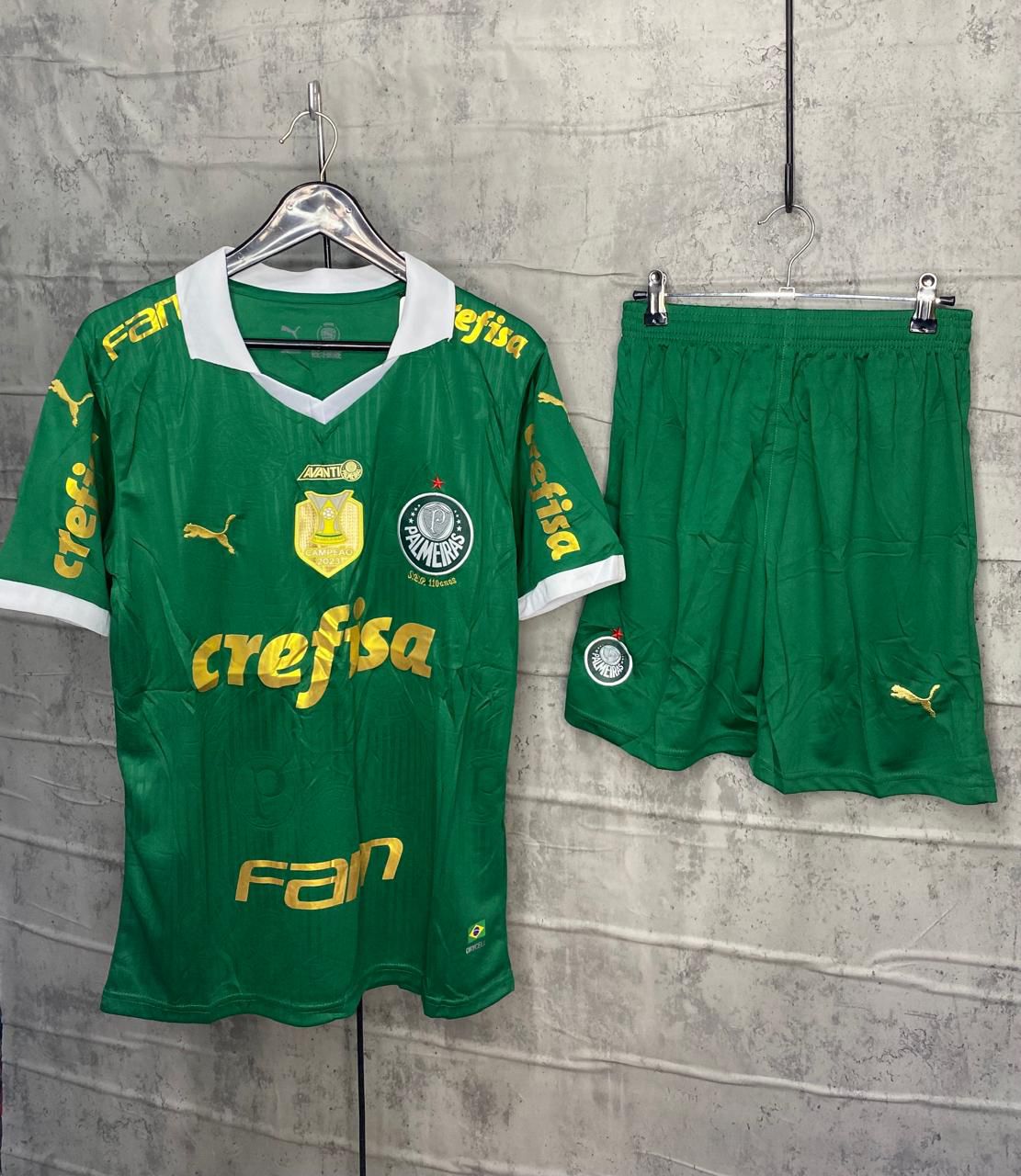 Palmeiras — Fan