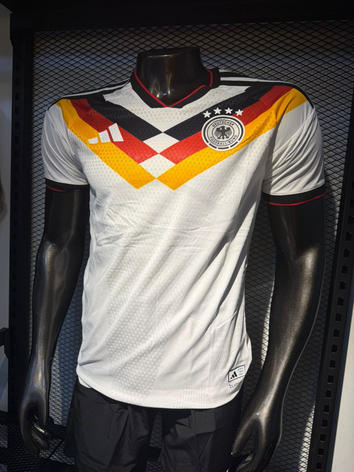 Alemania — Versión Jugador