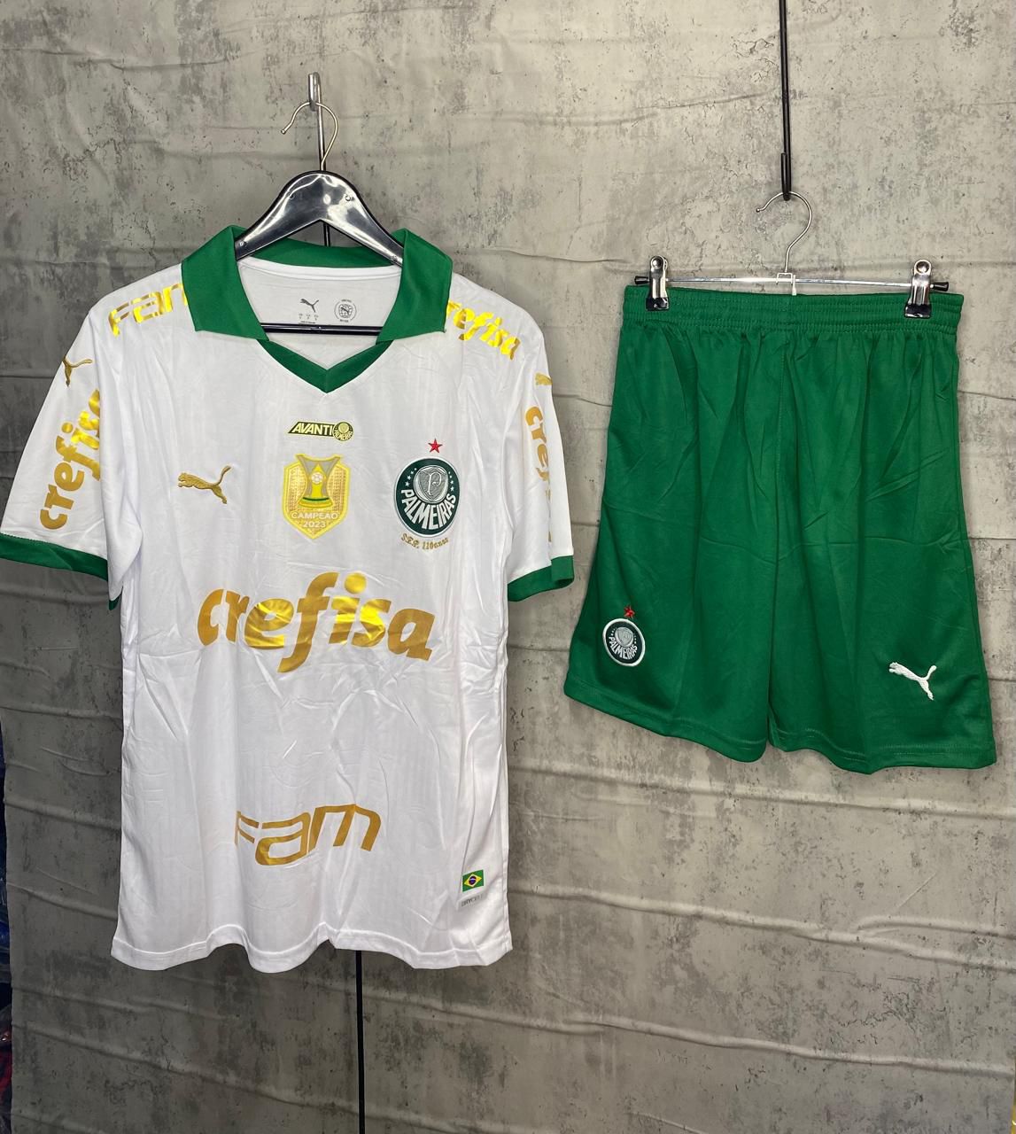 Palmeiras — Fan