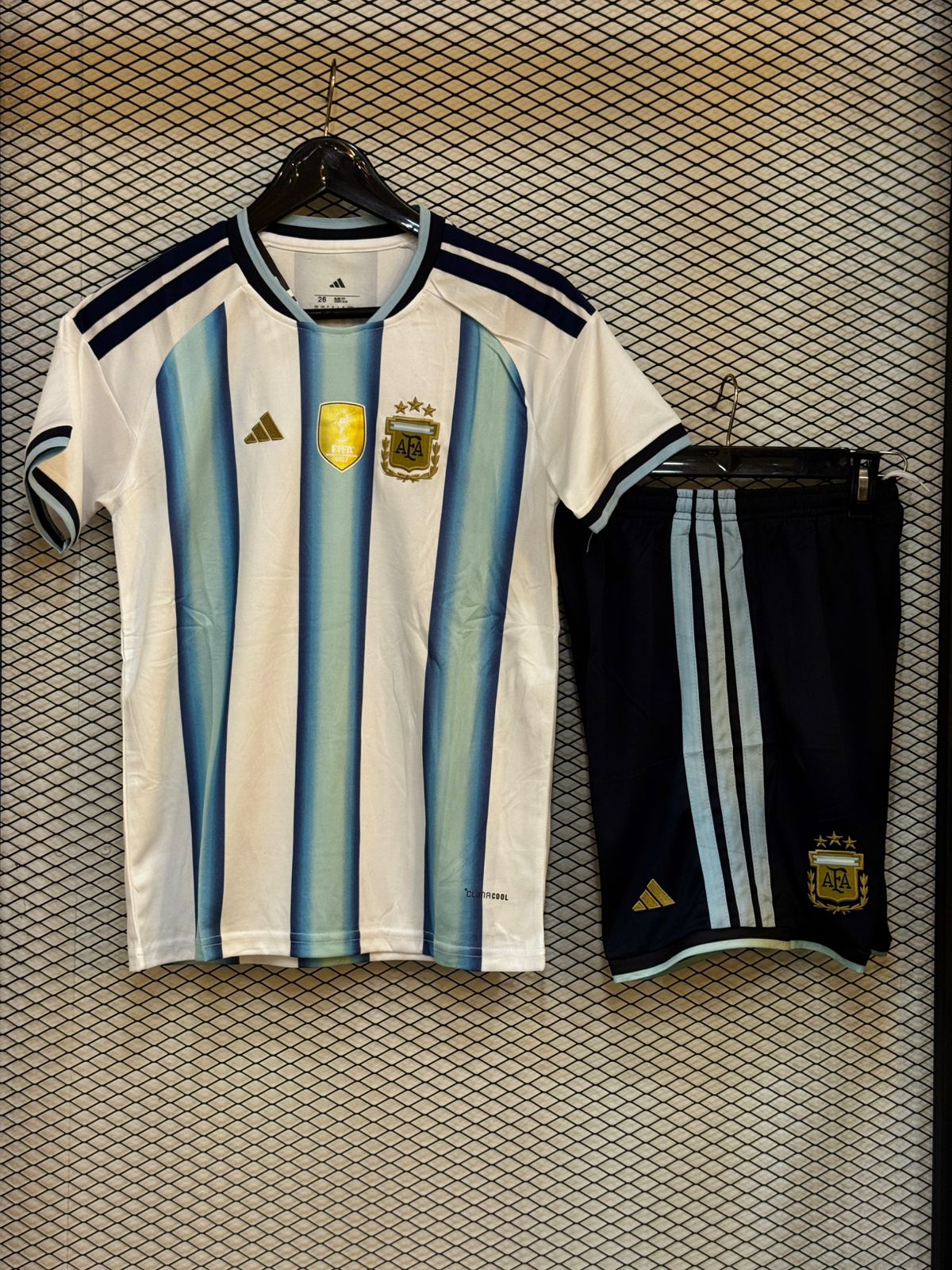 Argentina — Fan
