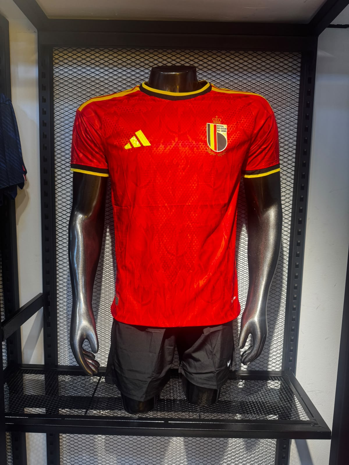 Bélgica — Versión Jugador