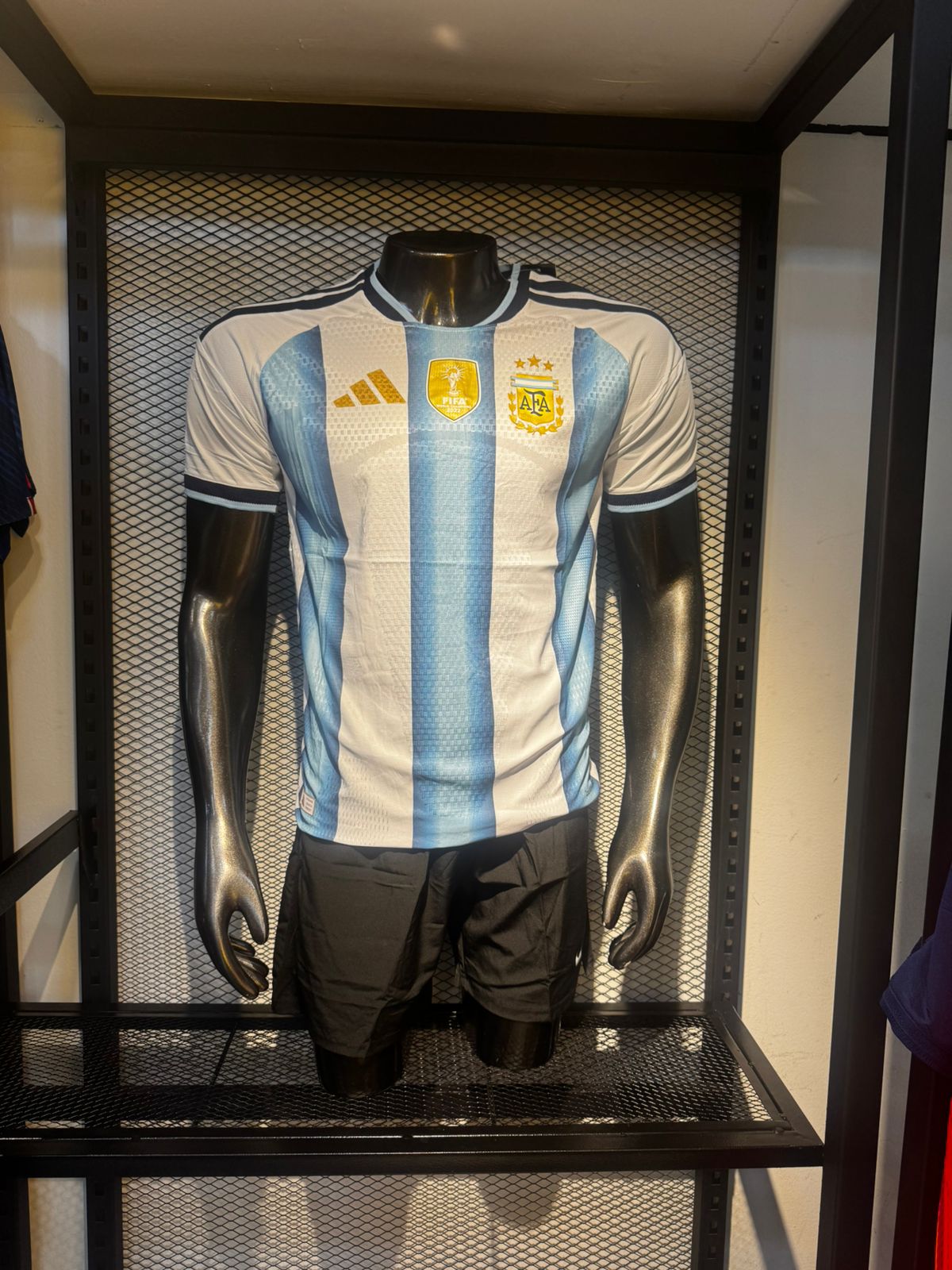 Argentina — Versión Jugador